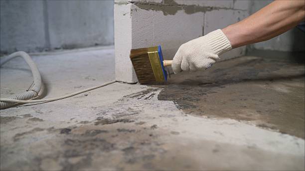 Top rated local Basement Waterproofing specialists in Bordentown, NJ